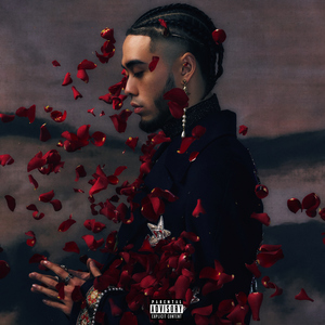 亚洲av网址网站
