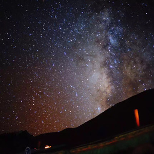 亚洲av网址网站
